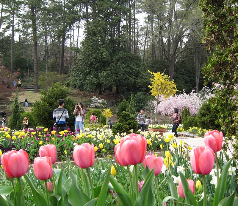 The Terrace Gardens in spring. Photo by Orla Swift.