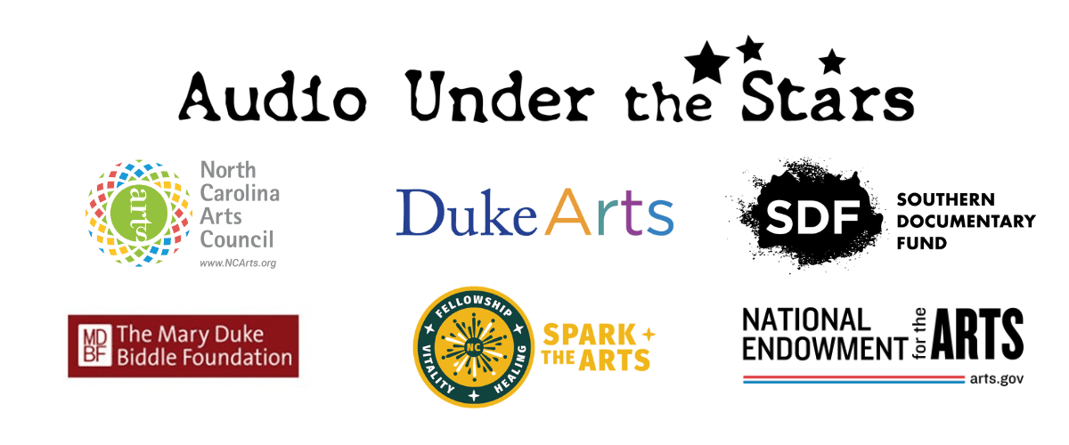 Sponsors of the Audio Under the Stars event