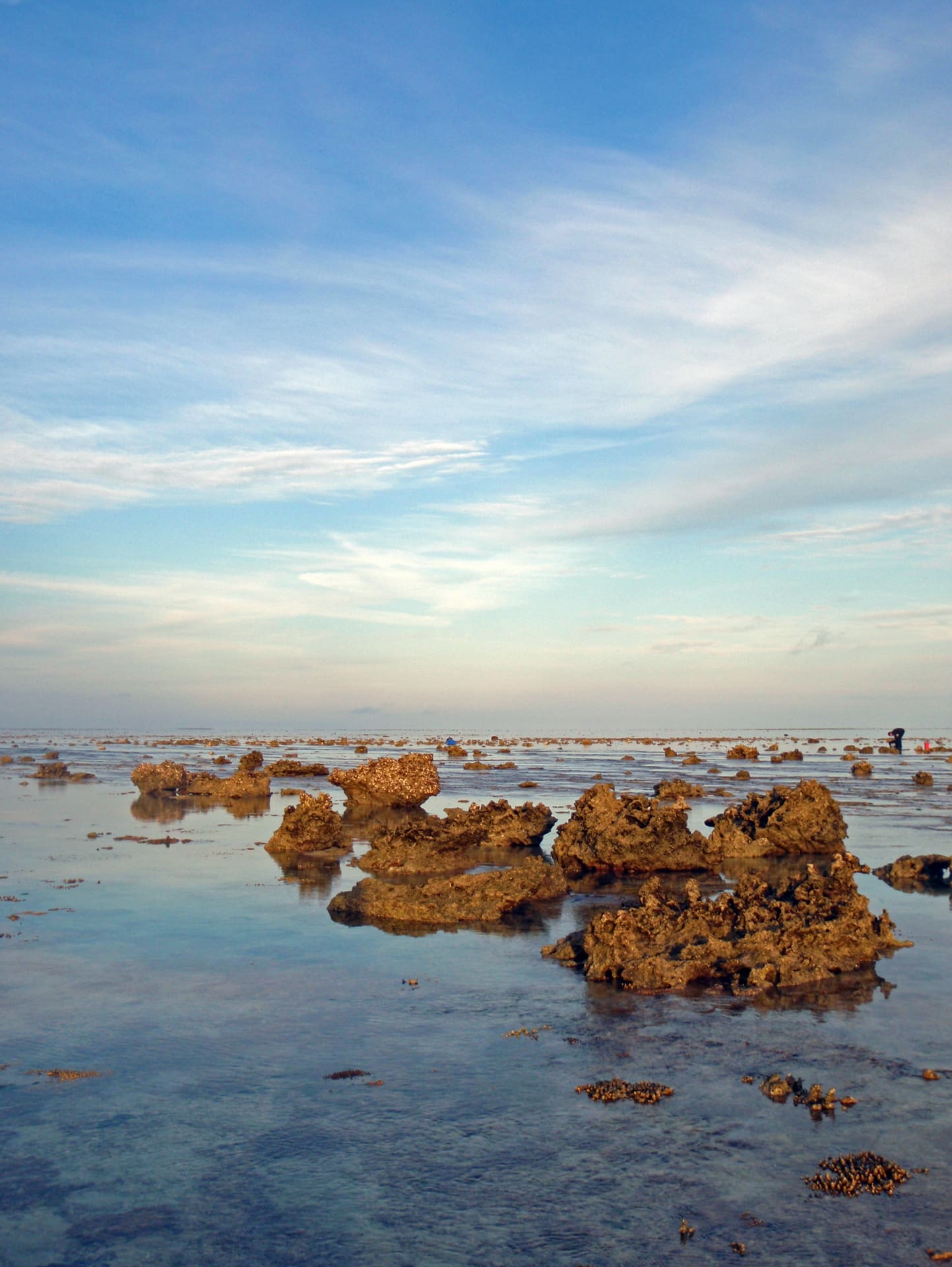 Coastal scene of rock outcroppings in still water