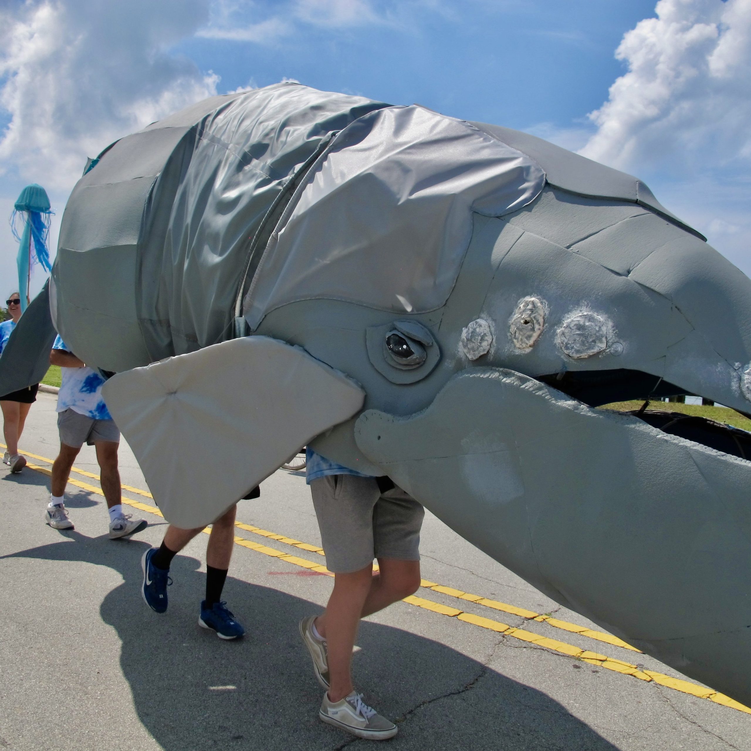A giant right whale puppet in a parade